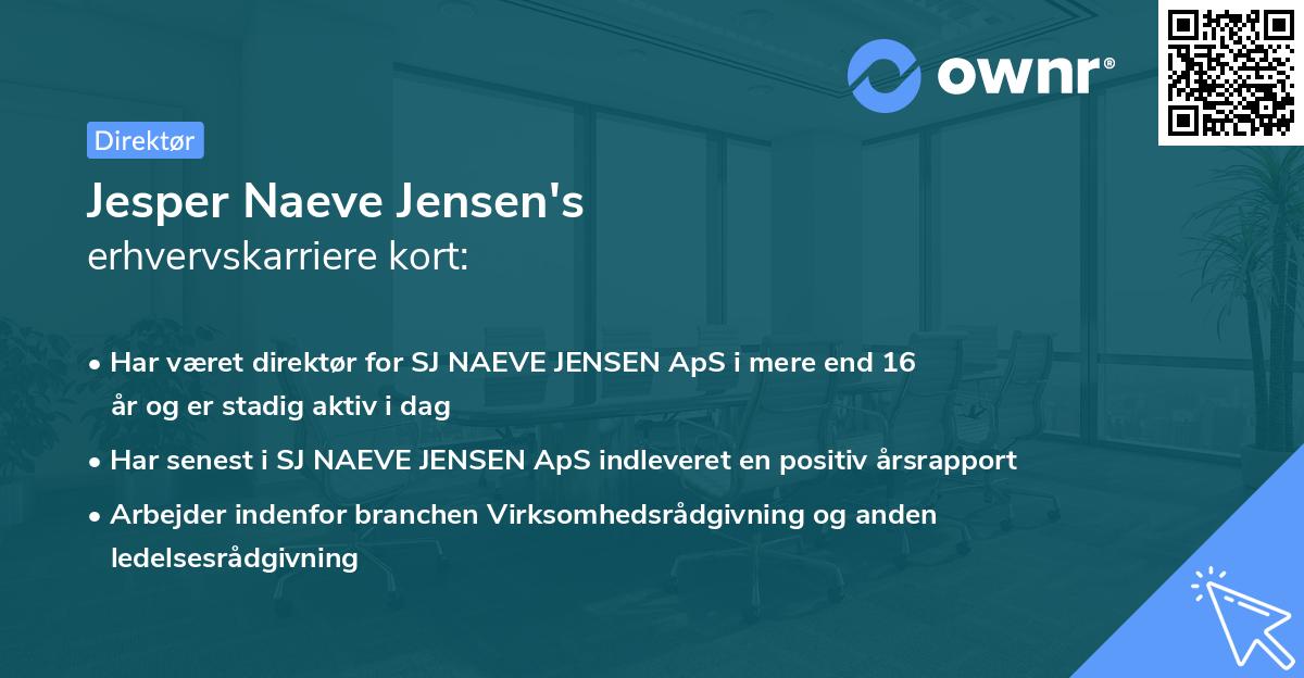 Jesper Naeve Jensen's erhvervskarriere kort