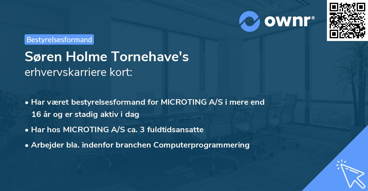 Søren Holme Tornehave's erhvervskarriere kort