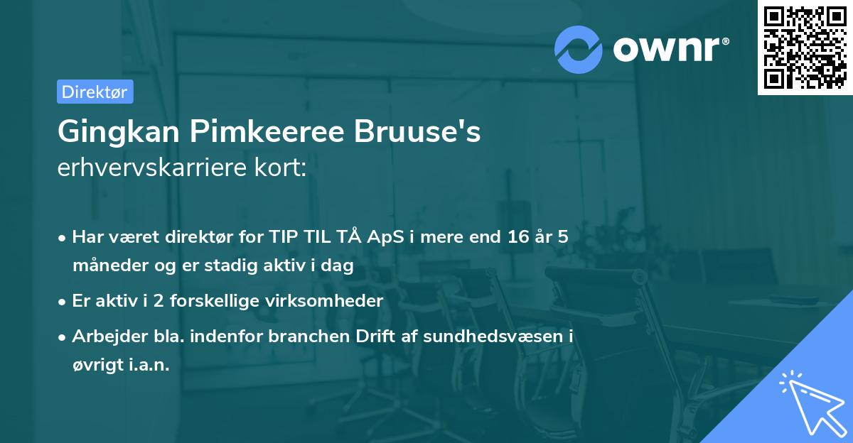Gingkan Pimkeeree Bruuse's erhvervskarriere kort