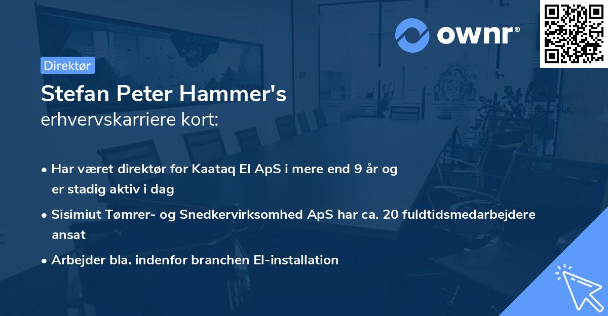 Stefan Peter Hammer's erhvervskarriere kort