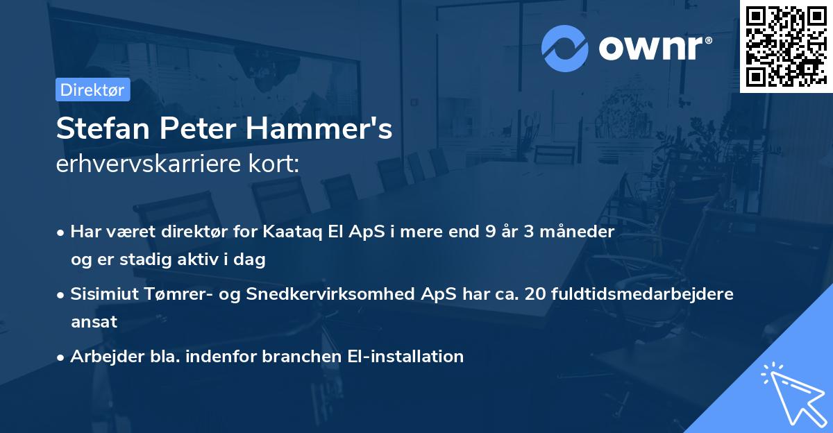 Stefan Peter Hammer's erhvervskarriere kort