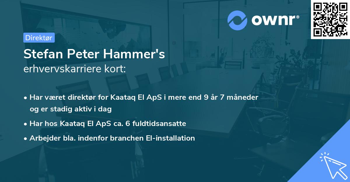 Stefan Peter Hammer's erhvervskarriere kort