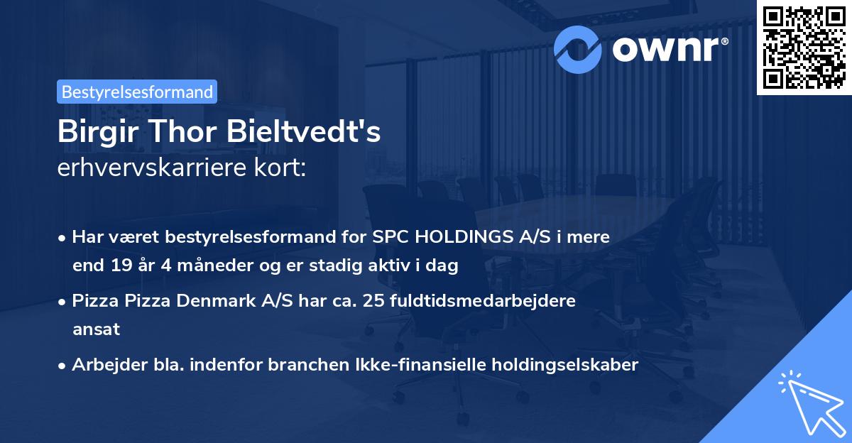 Birgir Thor Bieltvedt's erhvervskarriere kort