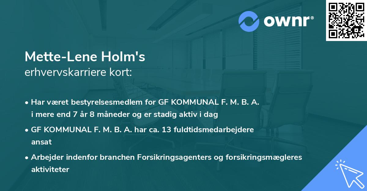 Mette-Lene Holm's erhvervskarriere kort