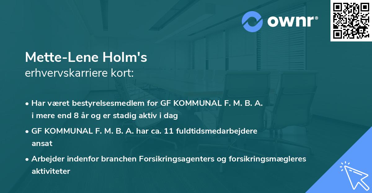 Mette-Lene Holm's erhvervskarriere kort