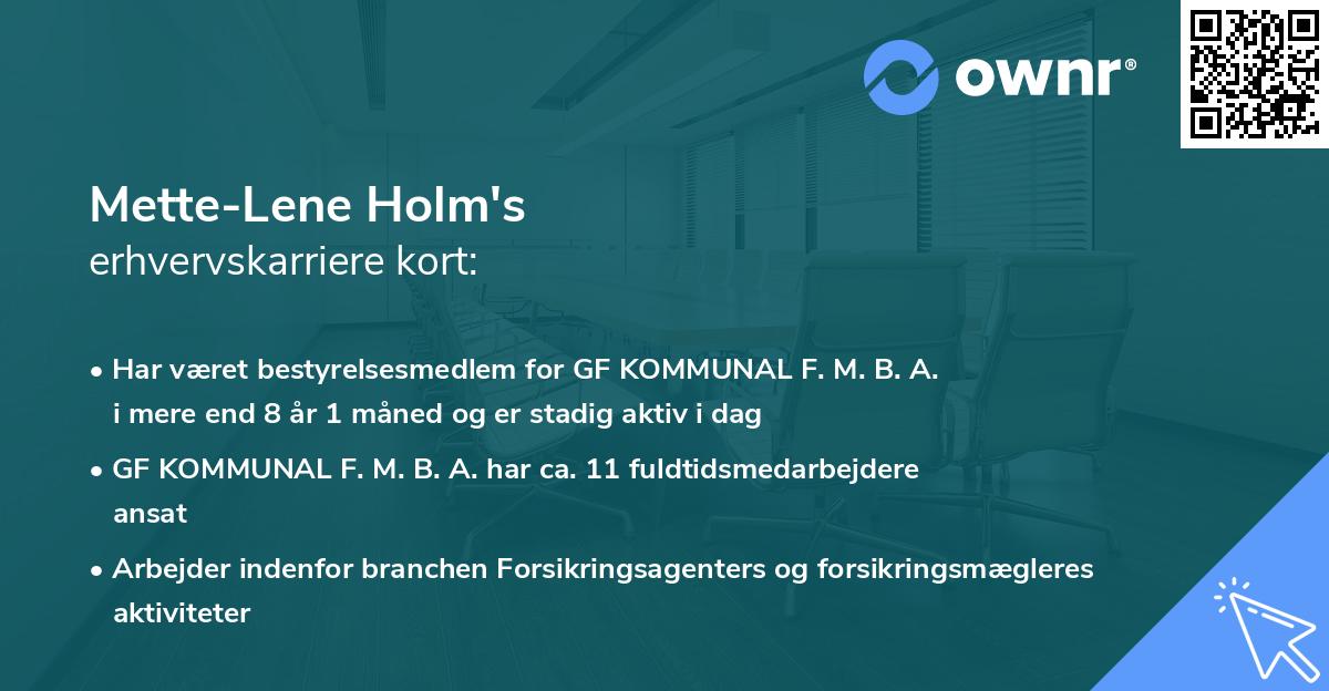 Mette-Lene Holm's erhvervskarriere kort