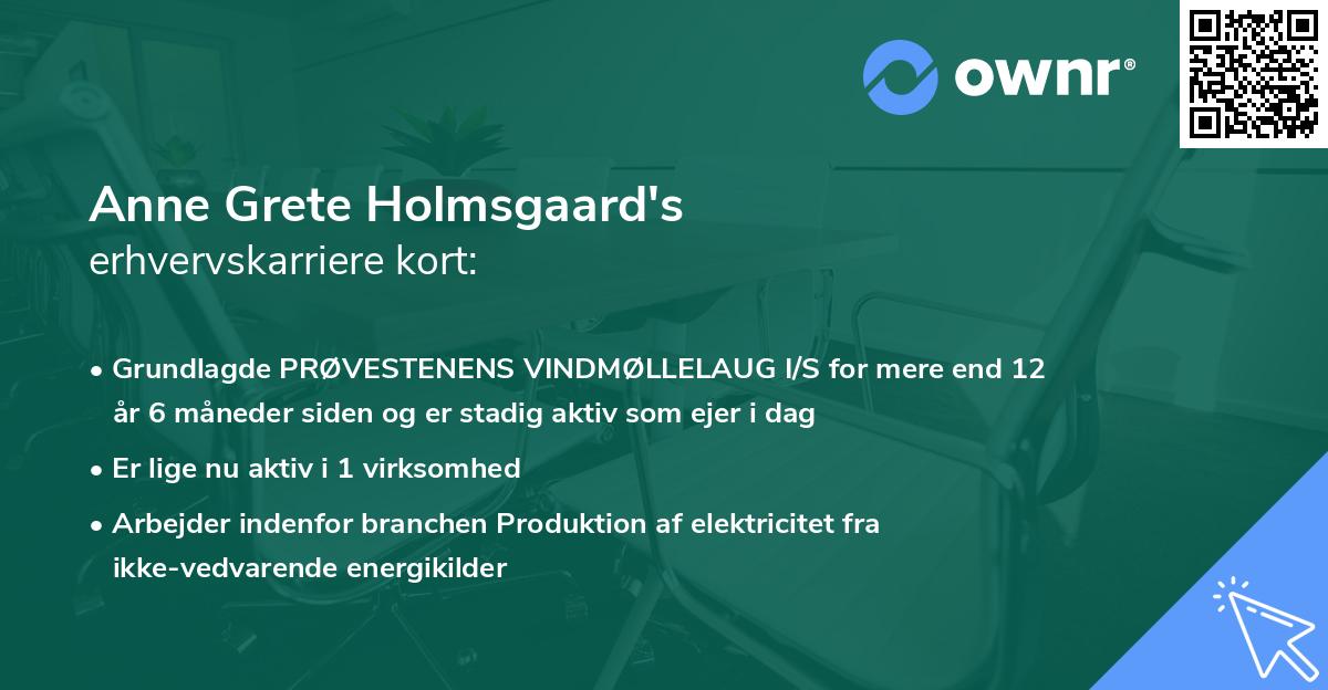 Anne Grete Holmsgaard's erhvervskarriere kort
