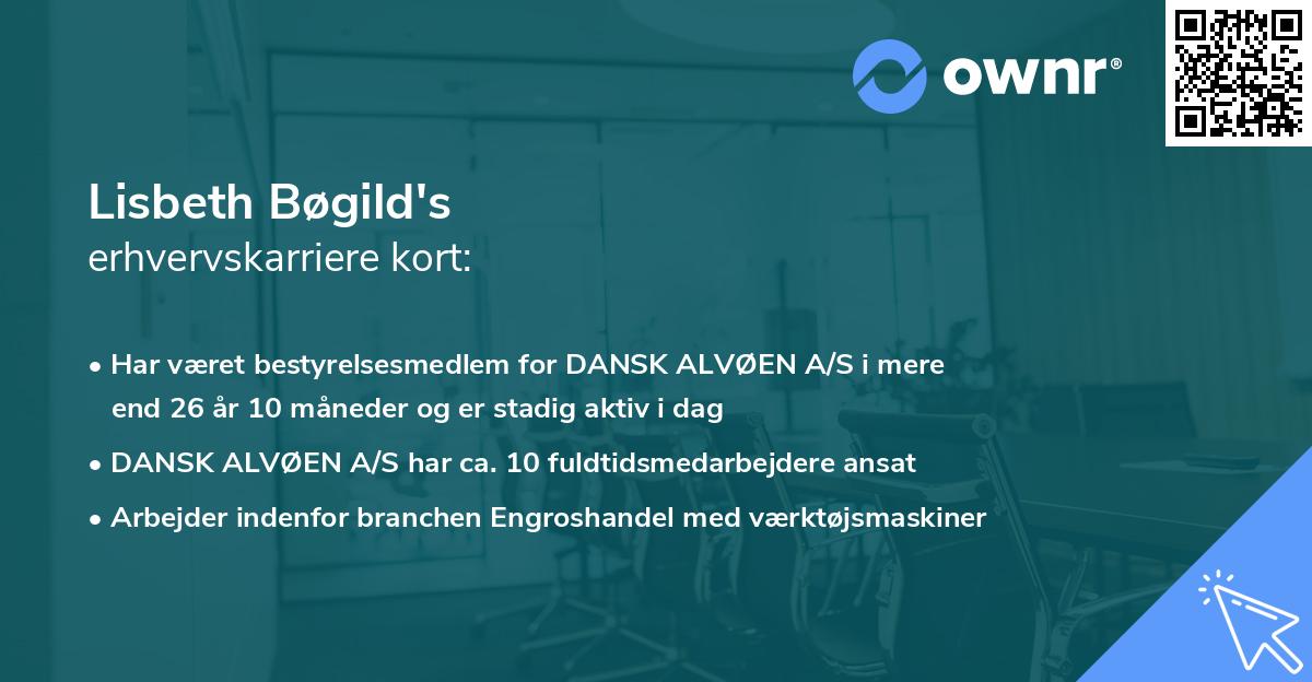 Lisbeth Bøgild's erhvervskarriere kort