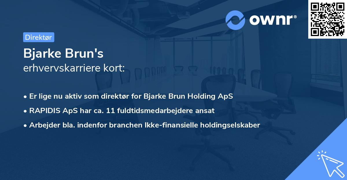 Bjarke Brun's erhvervskarriere kort