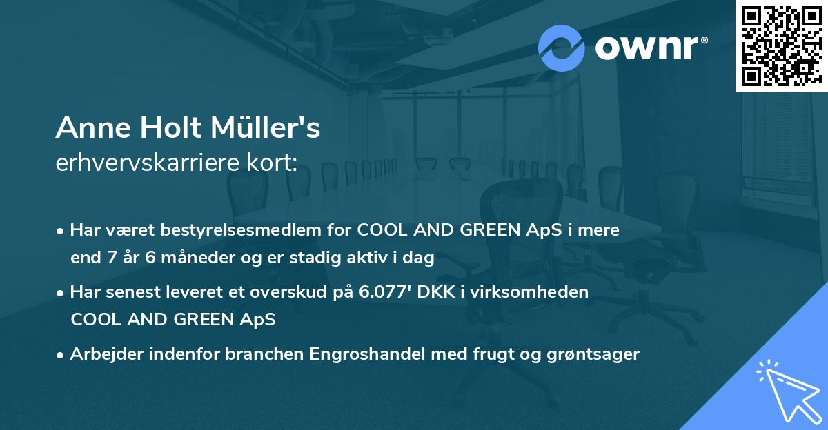 Anne Holt Müller's erhvervskarriere kort