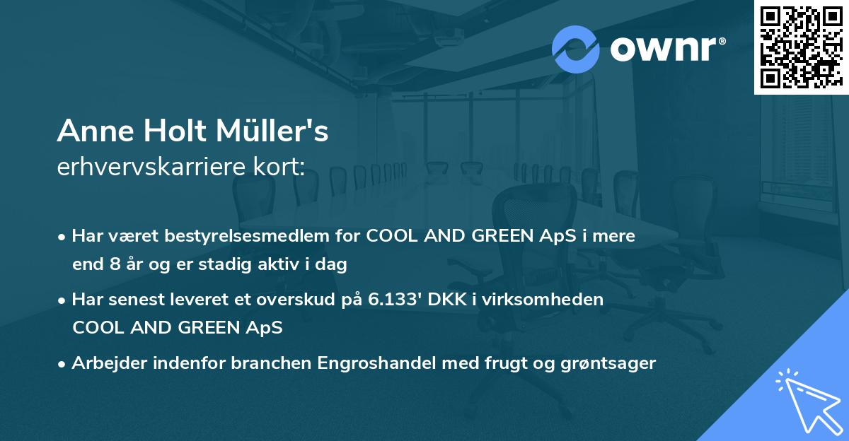 Anne Holt Müller's erhvervskarriere kort