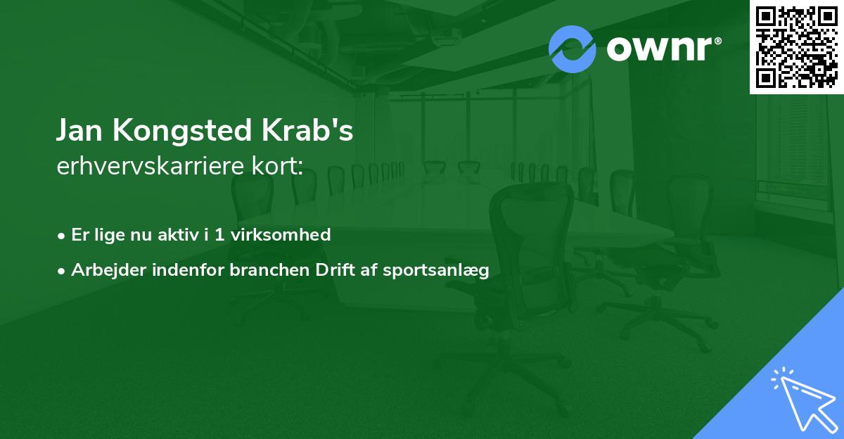 Jan Kongsted Krab's erhvervskarriere kort