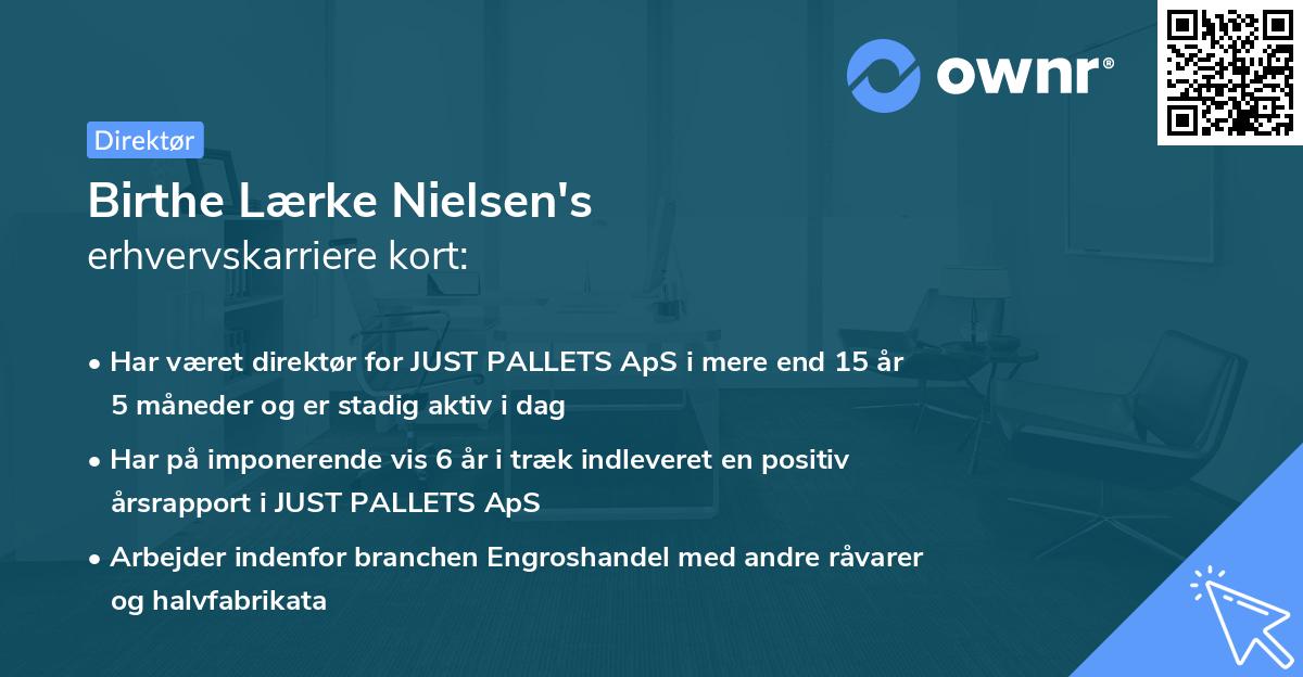 Birthe Lærke Nielsen's erhvervskarriere kort