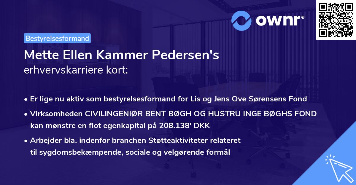 Mette Ellen Kammer Pedersen's erhvervskarriere kort