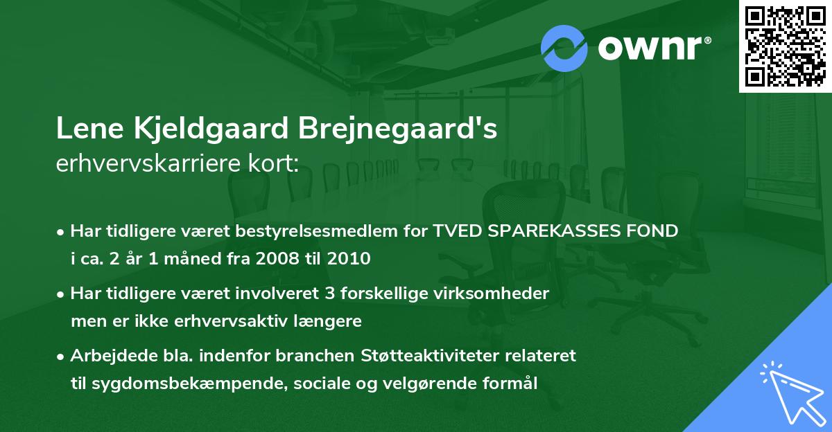 Lene Kjeldgaard Brejnegaard's erhvervskarriere kort