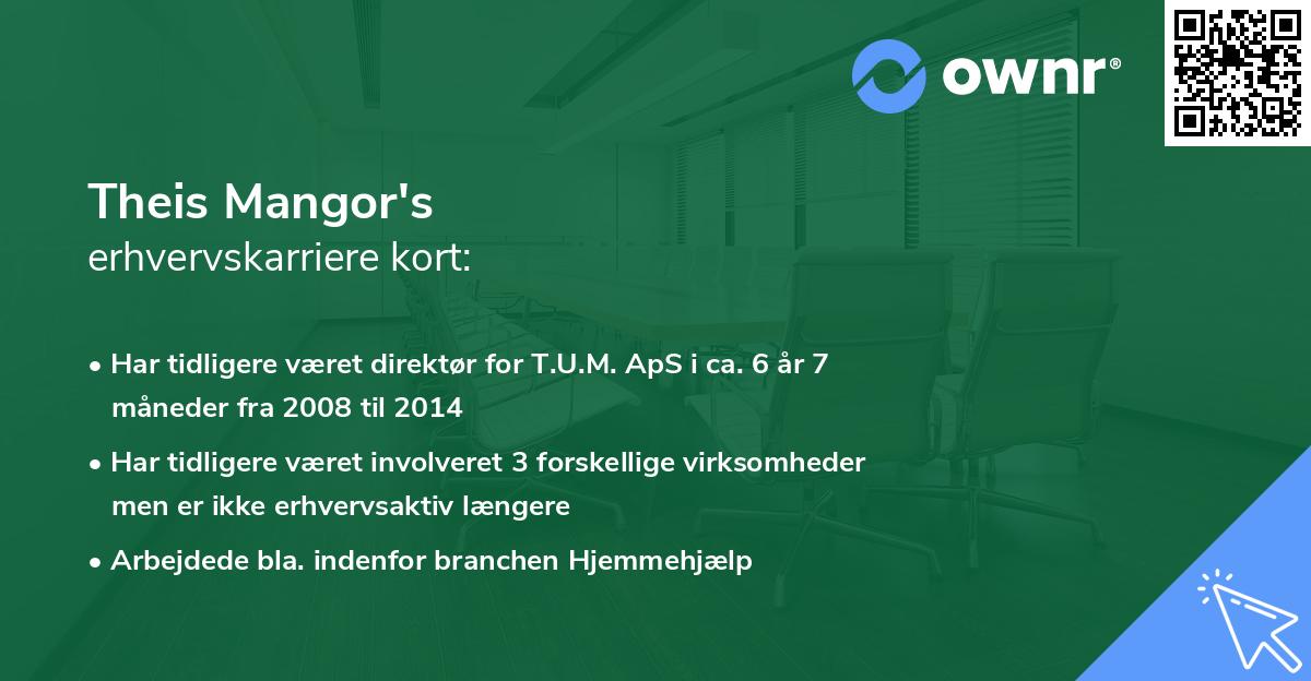 Theis Mangor's erhvervskarriere kort