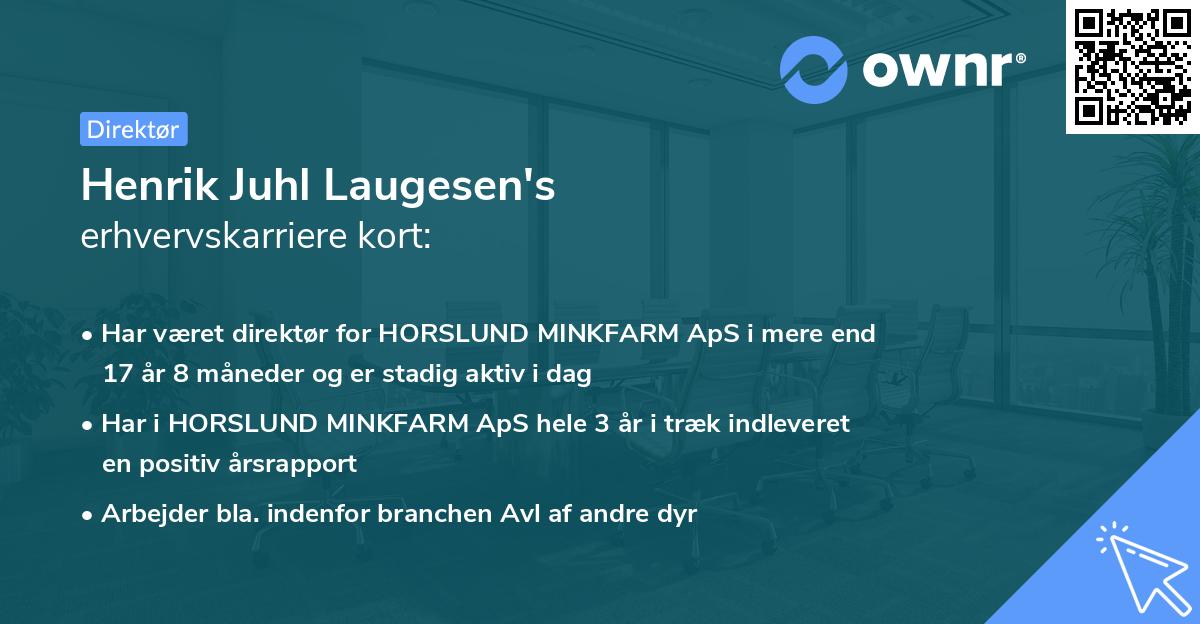 Henrik Juhl Laugesen's erhvervskarriere kort