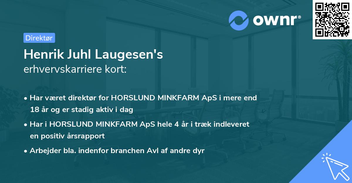 Henrik Juhl Laugesen's erhvervskarriere kort