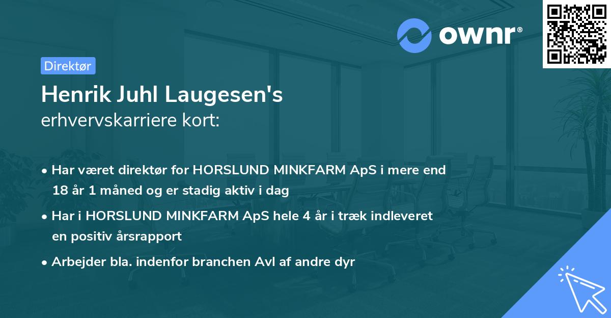 Henrik Juhl Laugesen's erhvervskarriere kort