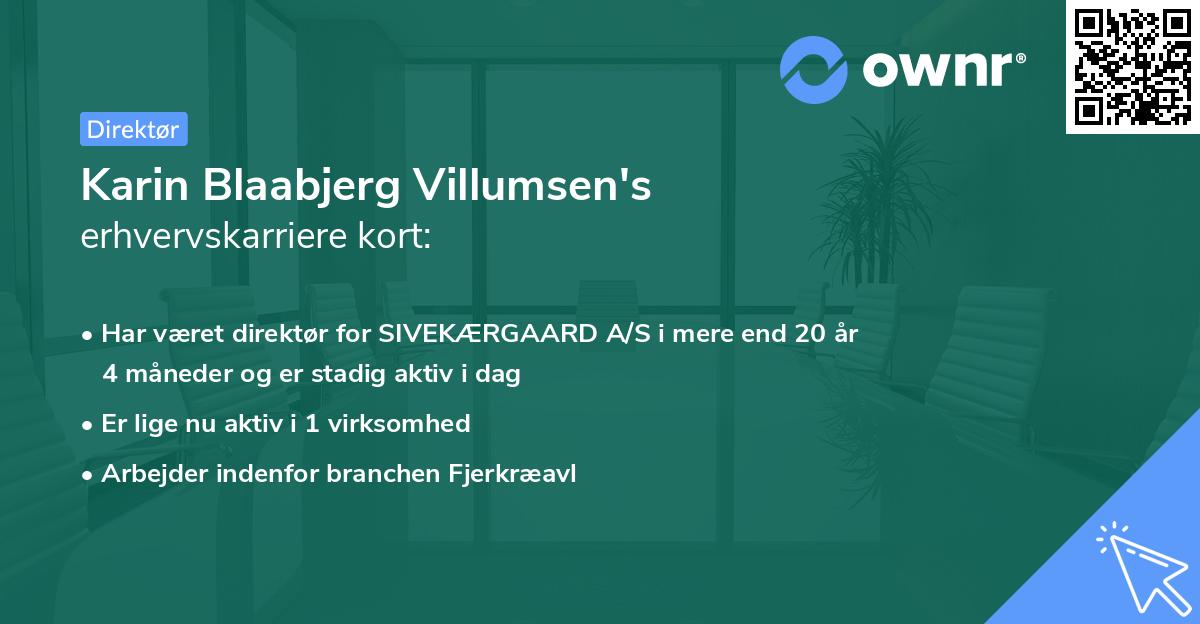 Karin Blaabjerg Villumsen's erhvervskarriere kort