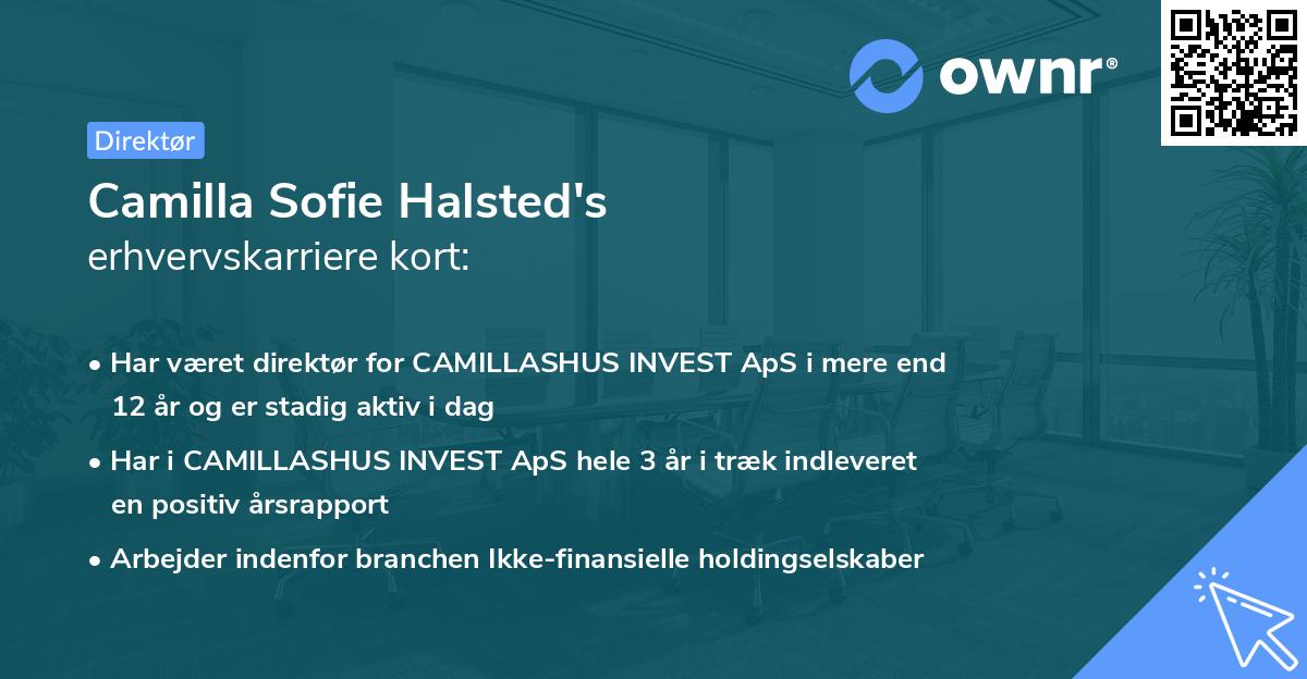 Camilla Sofie Halsted's erhvervskarriere kort