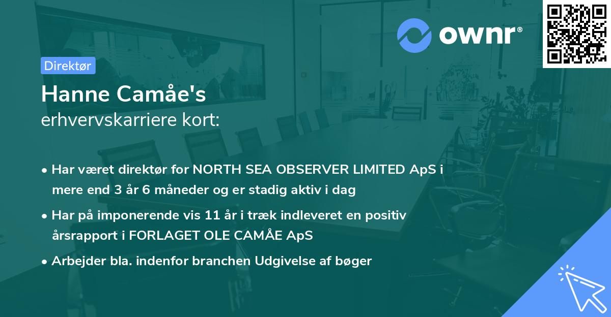Hanne Camåe's erhvervskarriere kort
