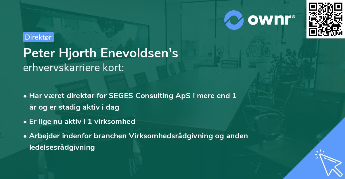 Peter Hjorth Enevoldsen's erhvervskarriere kort