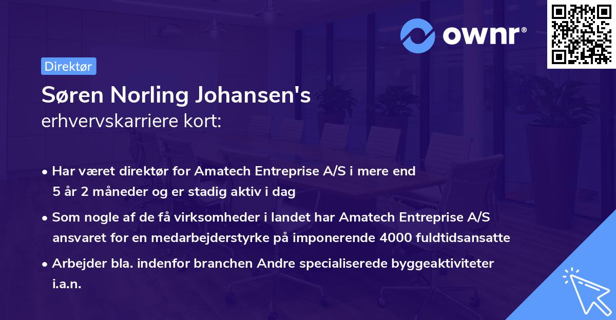 Søren Norling Johansen's erhvervskarriere kort