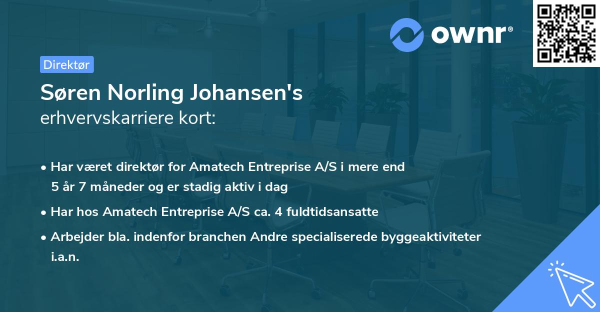 Søren Norling Johansen's erhvervskarriere kort