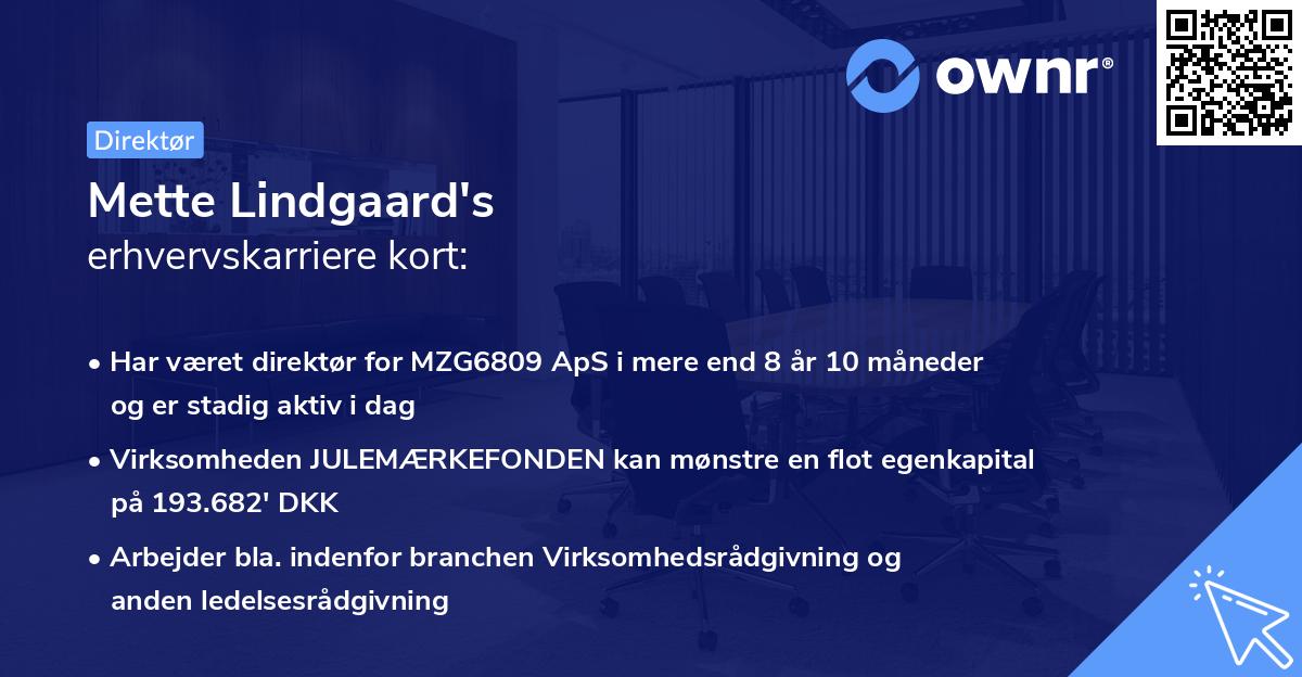 Mette Lindgaard's erhvervskarriere kort