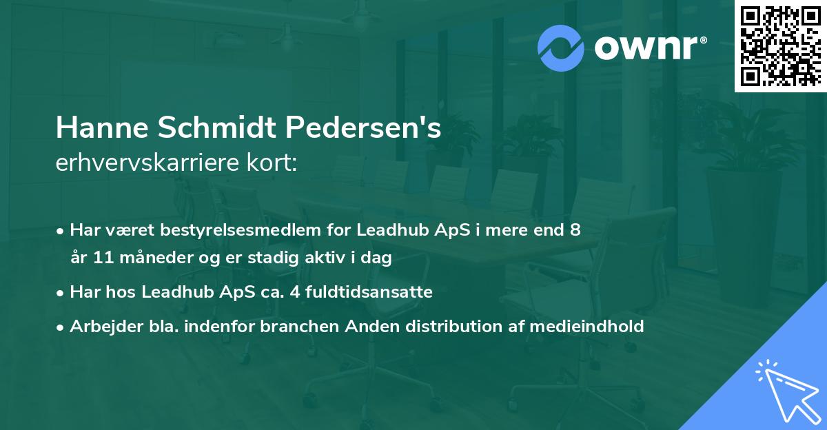 Hanne Schmidt Pedersen's erhvervskarriere kort