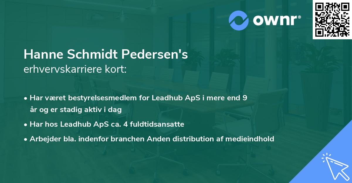 Hanne Schmidt Pedersen's erhvervskarriere kort