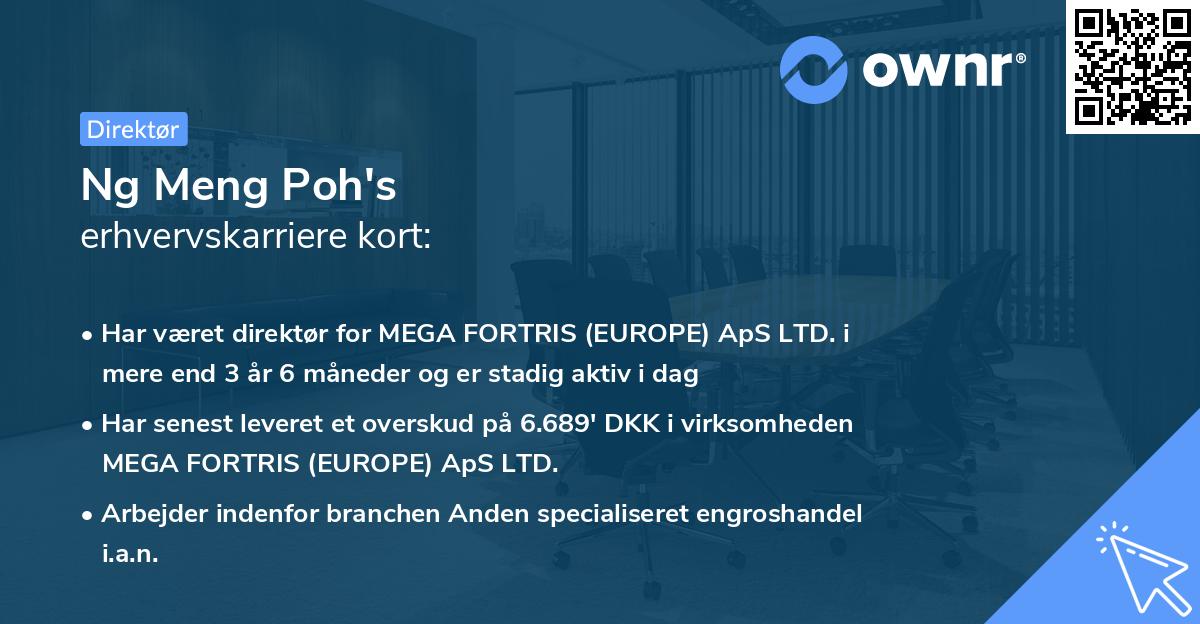 Ng Meng Poh's erhvervskarriere kort