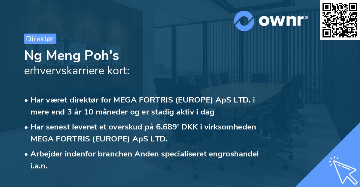 Ng Meng Poh's erhvervskarriere kort