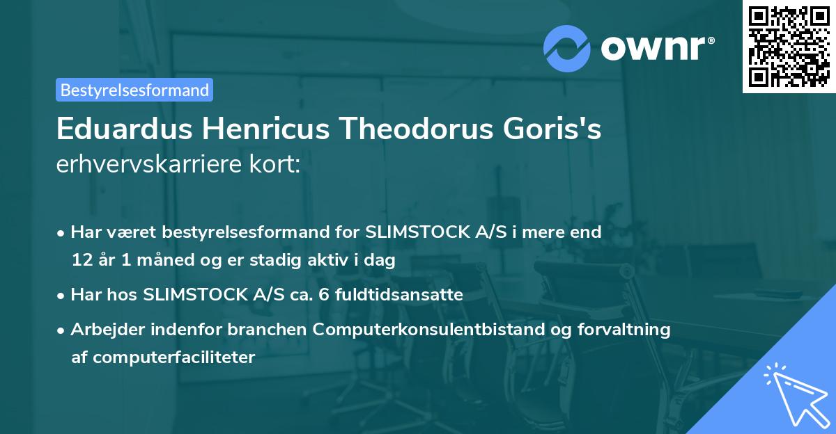 Eduardus Henricus Theodorus Goris's erhvervskarriere kort
