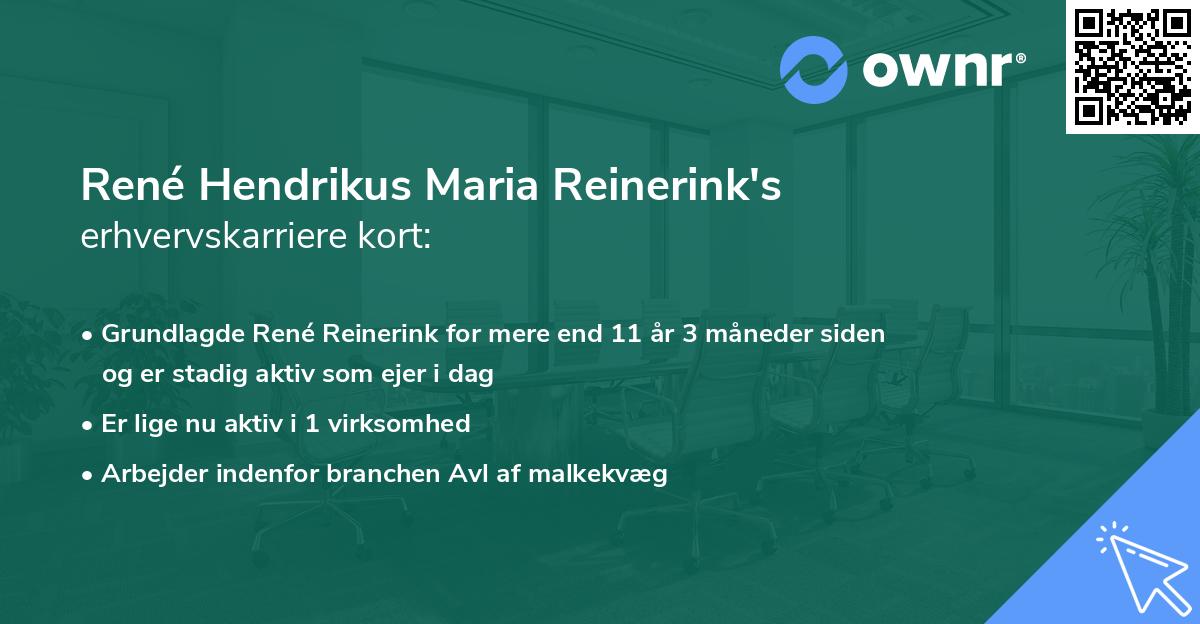 René Hendrikus Maria Reinerink's erhvervskarriere kort
