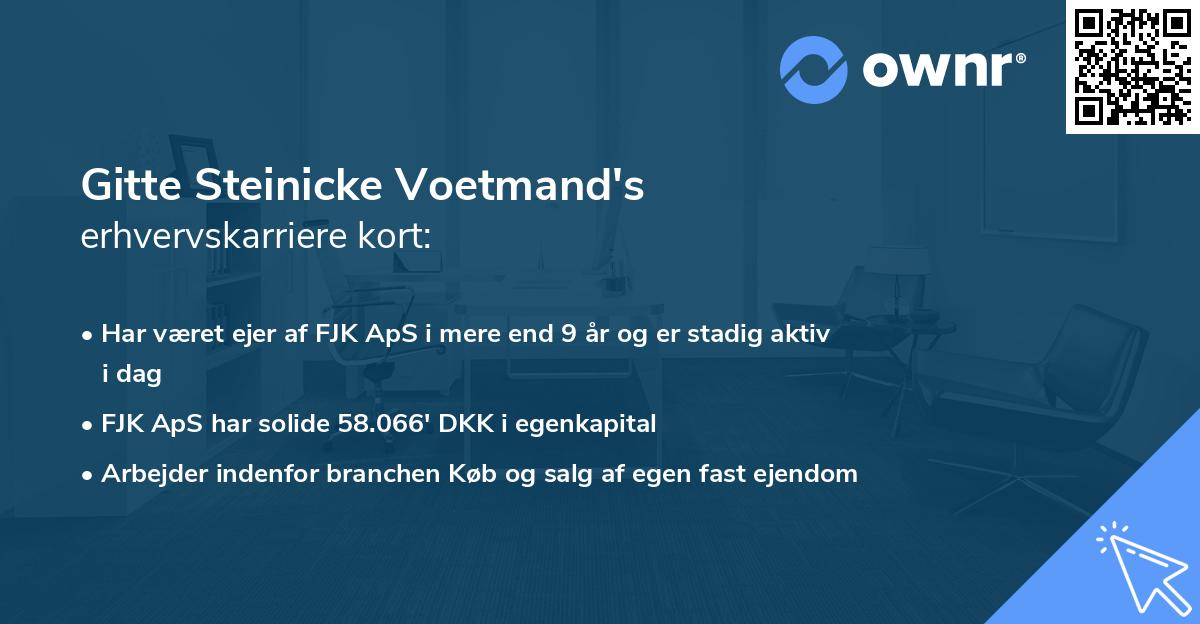 Gitte Steinicke Voetmand's erhvervskarriere kort