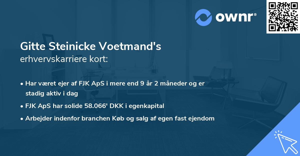 Gitte Steinicke Voetmand's erhvervskarriere kort