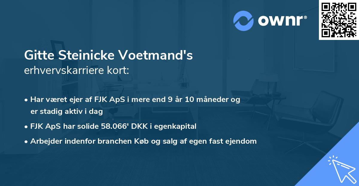 Gitte Steinicke Voetmand's erhvervskarriere kort