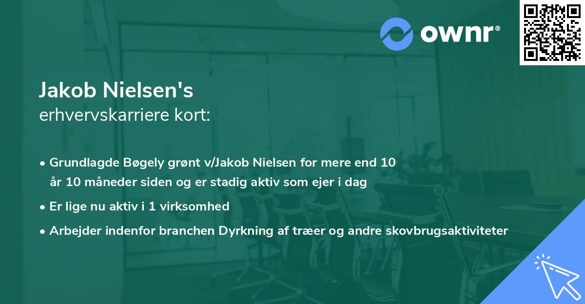 Jakob Nielsen's erhvervskarriere kort