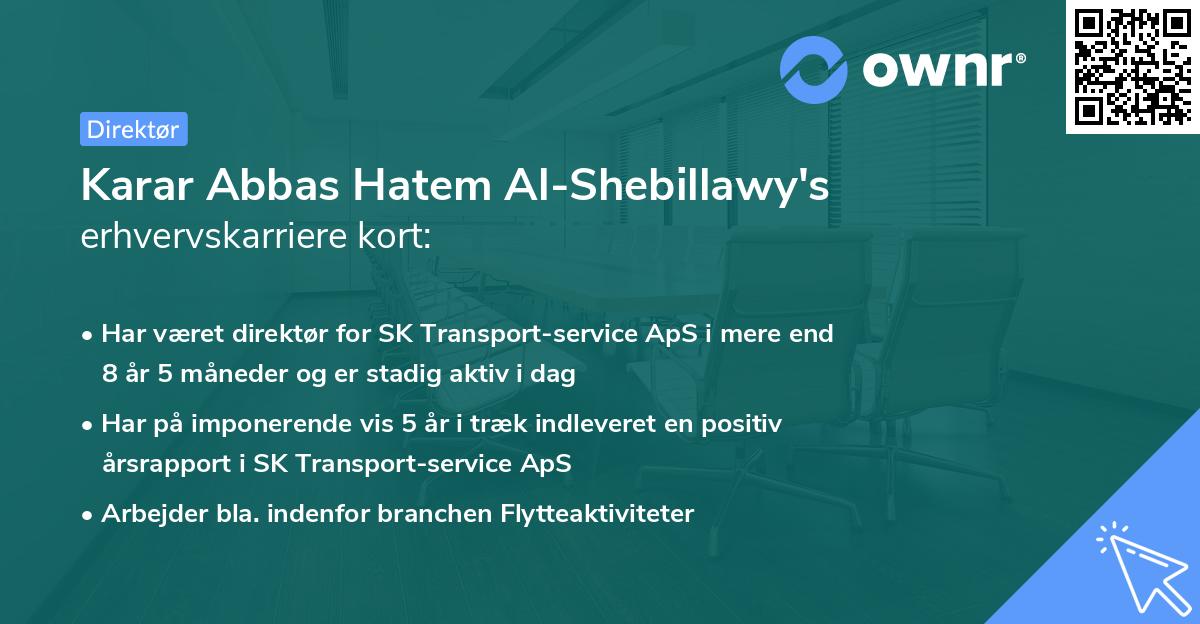Karar Abbas Hatem Al-Shebillawy's erhvervskarriere kort