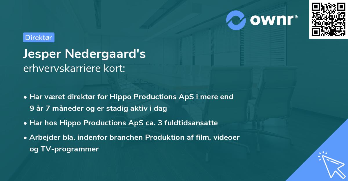 Jesper Nedergaard's erhvervskarriere kort