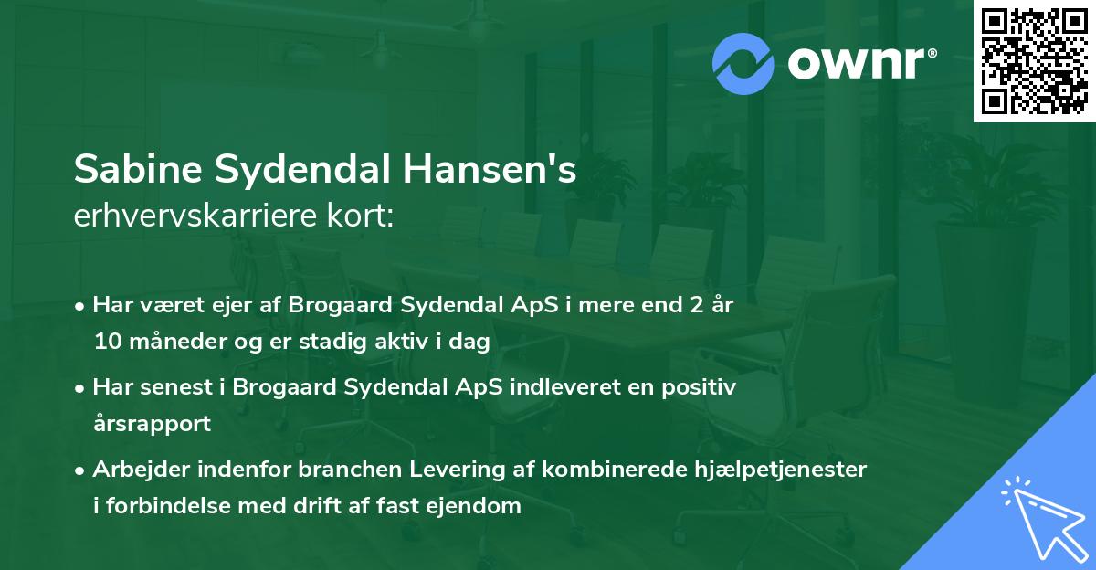Sabine Sydendal Hansen's erhvervskarriere kort