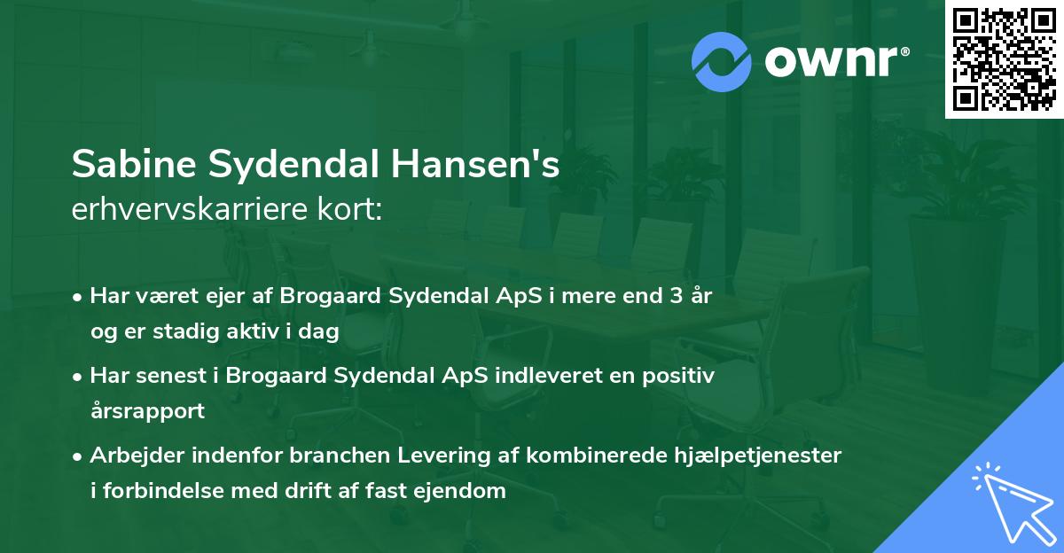 Sabine Sydendal Hansen's erhvervskarriere kort