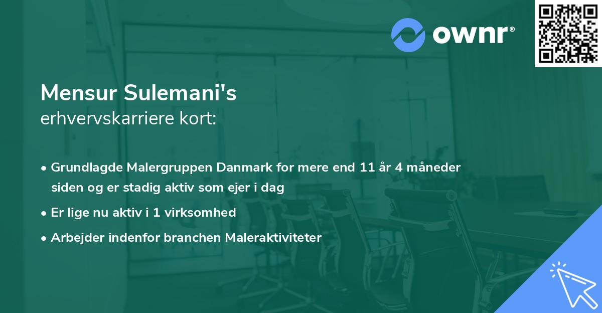 Mensur Sulemani's erhvervskarriere kort