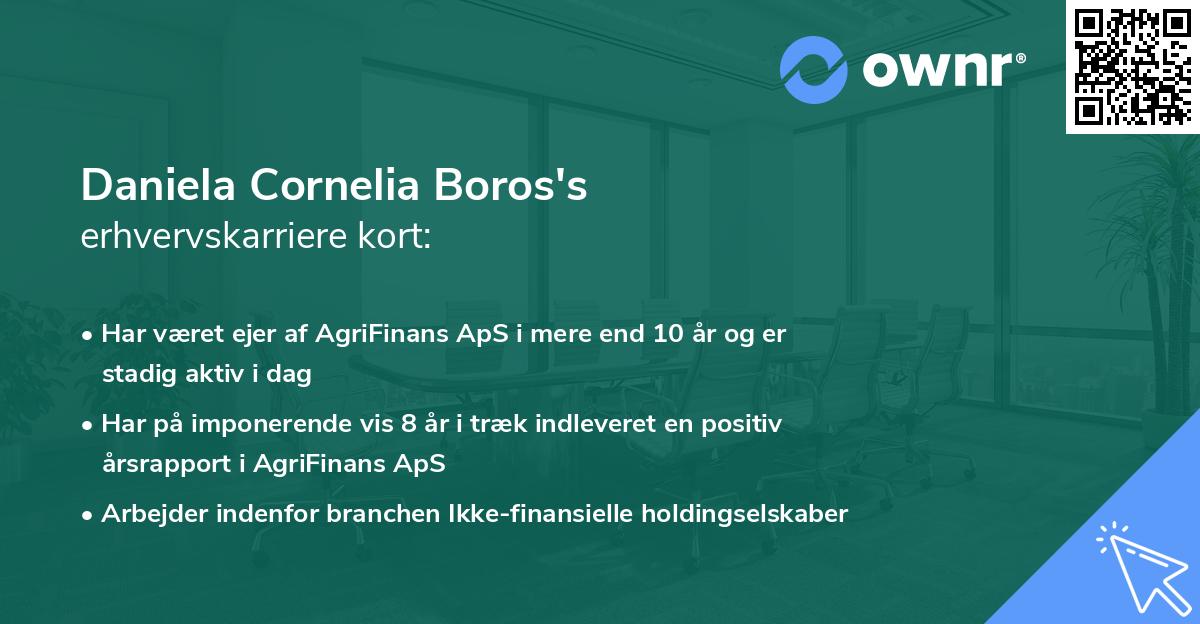 Daniela Cornelia Boros's erhvervskarriere kort