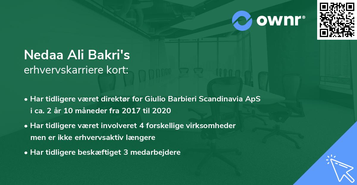 Nedaa Ali Bakri's erhvervskarriere kort