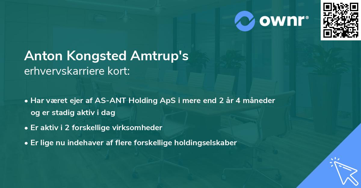 Anton Kongsted Amtrup's erhvervskarriere kort