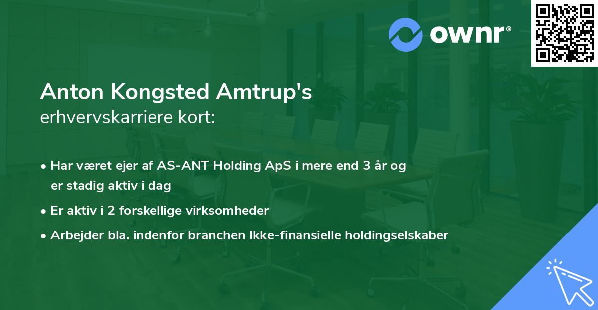 Anton Kongsted Amtrup's erhvervskarriere kort