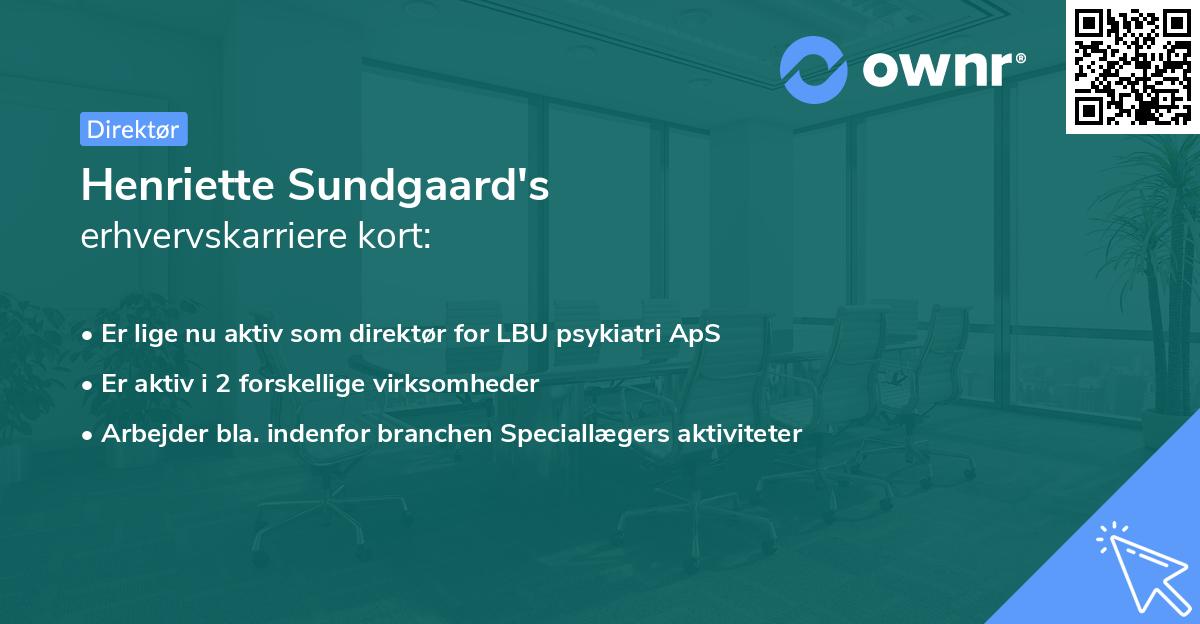 Henriette Sundgaard's erhvervskarriere kort